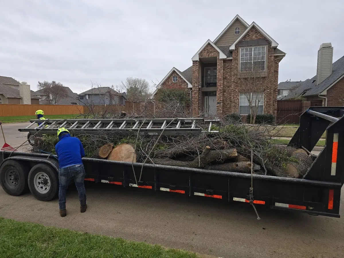 Expert Tree Pest Control with proper safety equipment in Dietrich